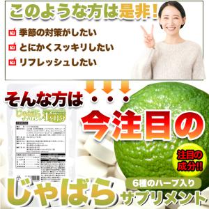 じゃばら 柑橘系 サプリメント 約4ヵ月分 1...の詳細画像4
