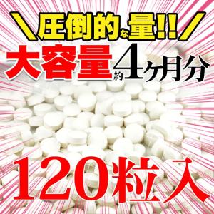プロテオグリカン サプリメント 約4ヵ月分 1...の詳細画像3