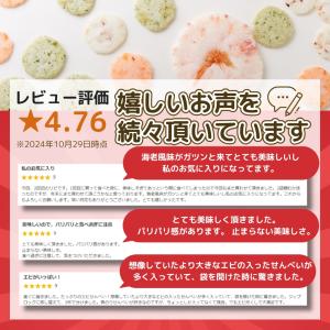 えびせんべい 無選別 4種 500g 簡易包装...の詳細画像1
