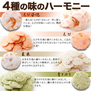 えびせんべい 無選別 4種 500g 簡易包装...の詳細画像5