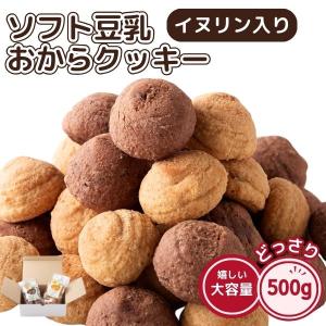 500g チョコ・オレンジ イヌリン入りソフト豆乳おからクッキー イヌリン おやつ