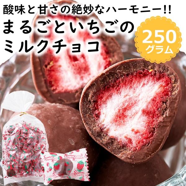 まるごといちごの ミルクチョコ 250g 約25個 濃厚 チョコレート 苺 いちご イチゴ ストロベ...