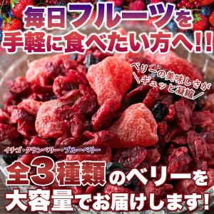 ミックスベリー 3種 500g ドライフルーツ...の詳細画像1