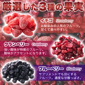 ミックスベリー 3種 500g ドライフルーツ...の詳細画像4