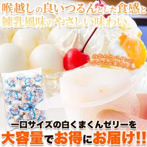 プチ 白くまくん ゼリー 50個 練乳風味 お...の詳細画像1
