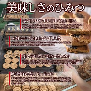 かたやき割れ煎餅 300g 無選別 訳あり 大...の詳細画像5