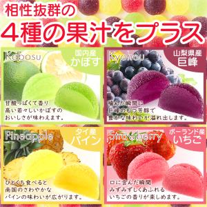 4種の フルーツ ペクチン ゼリー 500g(...の詳細画像4