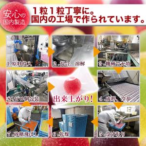 4種の フルーツ ペクチン ゼリー 500g(...の詳細画像5