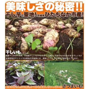 【8/31入荷予定】干し芋 200g 訳あり ...の詳細画像3