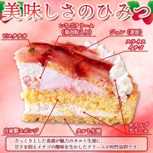 ストロベリータルト 5号 直径14cm〜15c...の詳細画像3