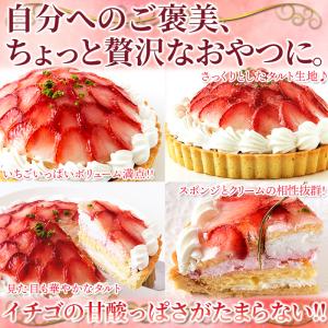 ストロベリータルト 5号 直径14cm〜15c...の詳細画像5