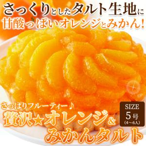 オレンジ&みかんタルト 5号 直径14cm〜1...の詳細画像2