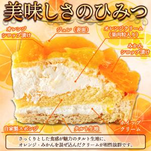オレンジ&みかんタルト 5号 直径14cm〜1...の詳細画像3