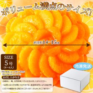 オレンジ&みかんタルト 5号 直径14cm〜1...の詳細画像4