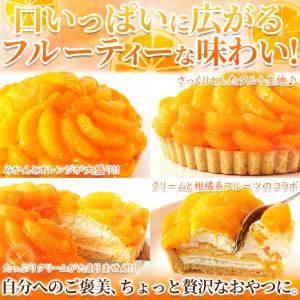 オレンジ&みかんタルト 5号 直径14cm〜1...の詳細画像5