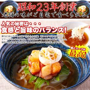 盛岡冷麺 4食(100g×4袋) スープ付き ...の詳細画像3