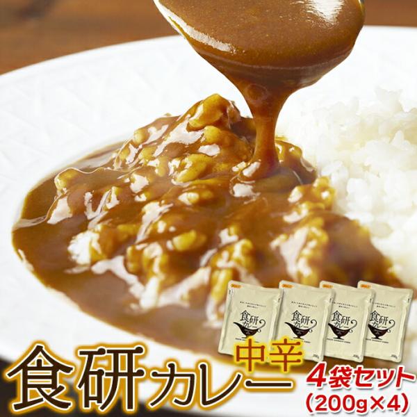 レトルト 食研 カレー 4食(200g×4袋) 中辛 日本食研 スパイス 香辛料 本格的 レトルトカ...
