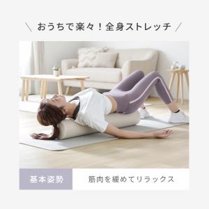 ピラティスポール インテリア カラーバリエーシ...の詳細画像3