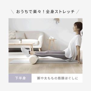 ピラティスポール インテリア カラーバリエーシ...の詳細画像5