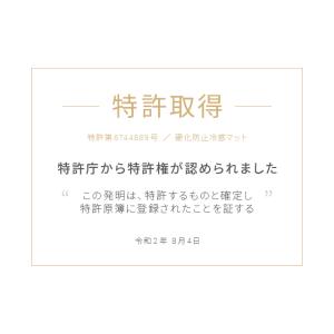 本日P+4% 敷きパッド 夏 冷感 涼感 瞬間...の詳細画像5
