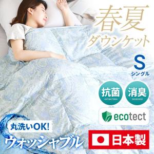 洗えるダウンケット 肌掛け布団 送料無料 シングル シング...