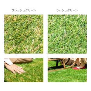 人工芝 ジョイント式 芝丈25mm 1枚〜 お...の詳細画像3