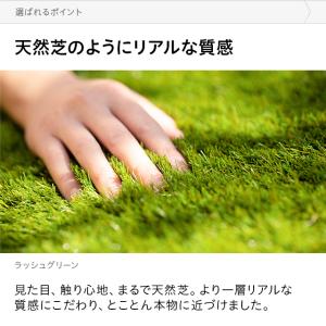 人工芝 1m×5m ロール U字ピン付き 5葉...の詳細画像3