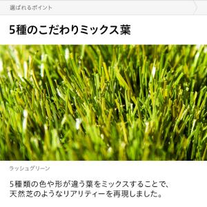 人工芝 1m×5m ロール U字ピン付き 5葉...の詳細画像4