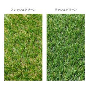 人工芝 1m×20m ロール 防草タイプ 芝丈...の詳細画像3