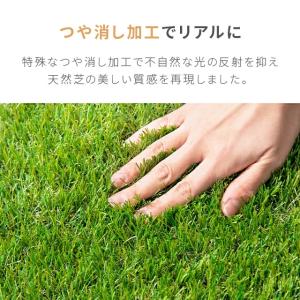 人工芝 1m×5m 30mm ロール diy ...の詳細画像5