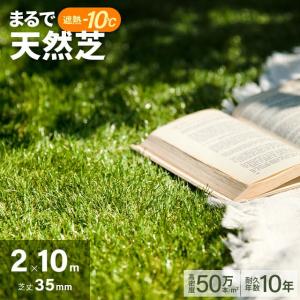 人工芝 2m×10m 35mm ロール diy 人工芝リアル 芝生マット 芝生 人口芝生 庭 モダンデコ U字ピン 爆買｜モダンデコ