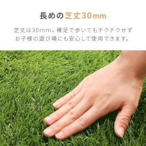 人工芝 1m×2m 30mm ロール diy ...の詳細画像3