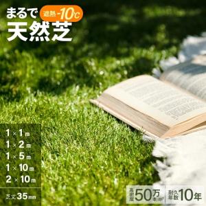 人工芝 1m×1m 35mm ロール diy 人工芝リアル 芝生マット 芝生 人口芝生 庭 モダンデコ U字ピン 遮熱 爆買