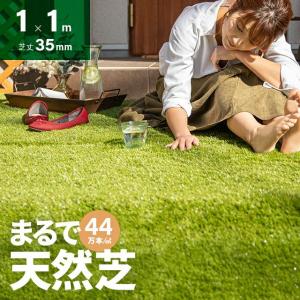 人工芝 1m×1m U字ピン 35mm ロール diy 人工芝リアル 芝生マット 芝生 人口芝生 庭 モダンデコ 爆買