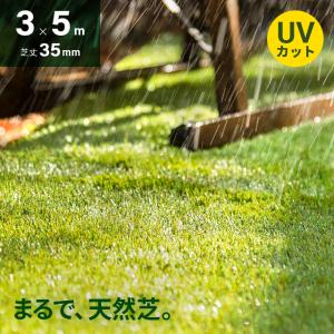 人工芝 3m×5m ロール 芝丈35mm 人工芝リアル U字ピン36本付 diy 芝生 マット 人口芝生 庭 モダンデコ 爆買