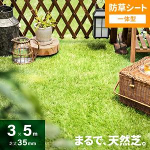 人工芝 3m×5m ロール 防草 芝丈35mm 防草シート不要 芝生マット 人工芝生 人工芝ロール 芝生 固定ピン 庭 モダンデコ 爆買
