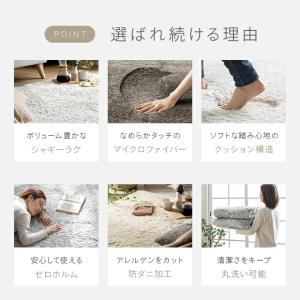 ラグ シャギーラグ 洗える 200×200 プ...の詳細画像2