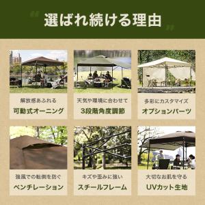 タープテント 3m オーニング オーニングタイ...の詳細画像1