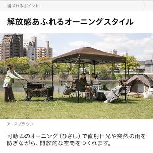 タープテント 3m オーニング オーニングタイ...の詳細画像4
