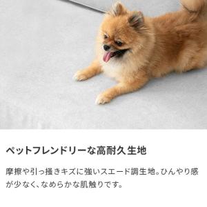 ソファー 2人掛け カウチソファー ソファーベ...の詳細画像1