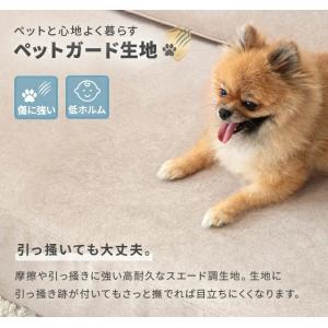 ソファー コンパクト ポケット付き ペット対応...の詳細画像3