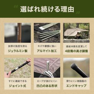 本日P+4% ヘキサータープ用 テントポール ...の詳細画像1