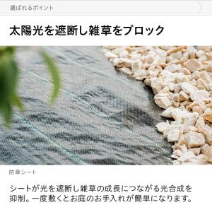 防草シート 幅2m×10m 雑草防止 除草シー...の詳細画像1