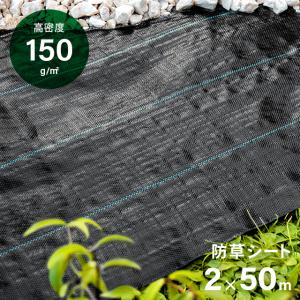 【全品P5倍 5/1】 防草シート ピン 幅2m×50m 雑草防止 除草シート 防草 シート ガーデニング 草よけシート 雑草対策 雑草シート 雑草抑制 生えない｜モダンデコ