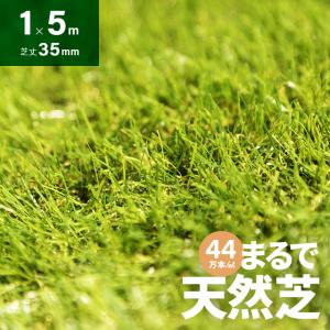 人工芝 ロール 1m×5m 芝丈35mm 人工芝リアル U字ピン16本付 diy 芝生 マット 人口芝生 庭 モダンデコ