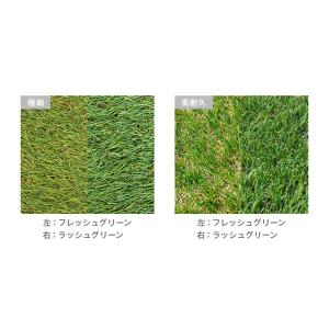 人工芝 1m×10m U字ピン26本付 芝丈3...の詳細画像4