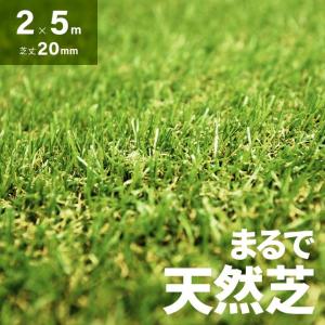 ガーデニング用芝 芝生 花 ガーデニング 通販 Paypayモール