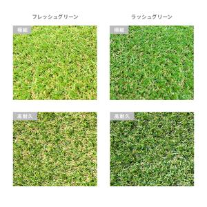 人工芝 ロール 2m×10m 防草シート付 芝...の詳細画像4
