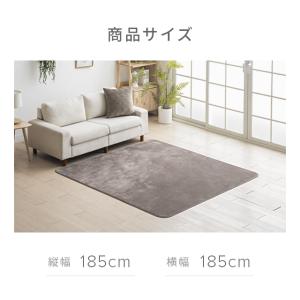ラグ カーペット 洗える 185×185 夏用...の詳細画像4