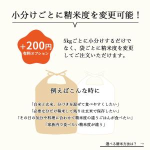 新米 減農薬 有機肥料使用 ササニシキ 10k...の詳細画像3